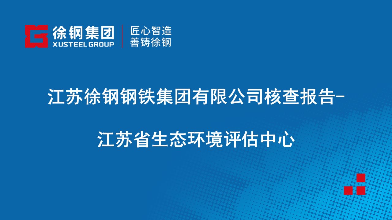 江蘇徐鋼鋼鐵集團有限公司核查報告-江蘇省生態環境評估中心